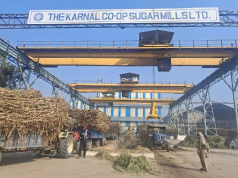 Karnal Cooperative Sugar Mill Earns ISO Certification for Excellence