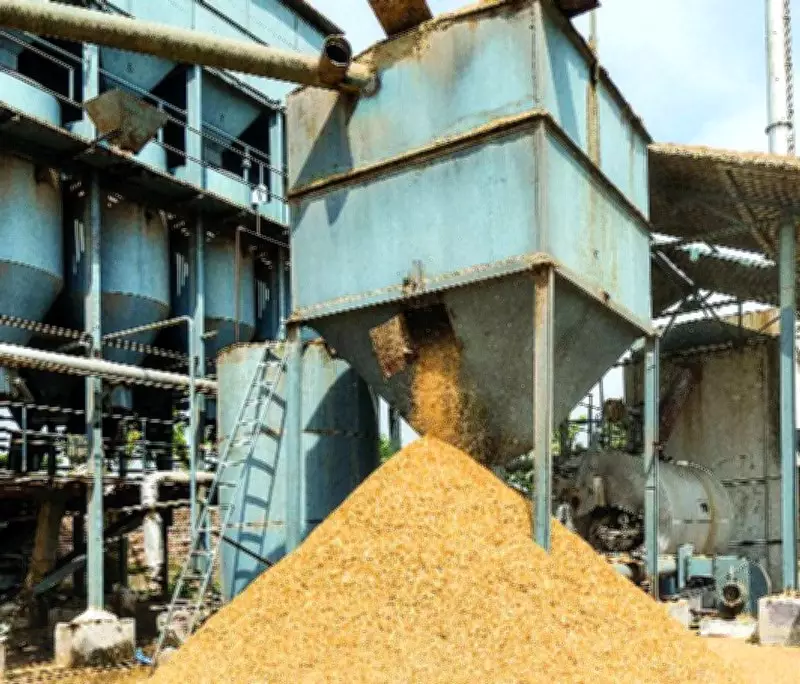 Karnal Rice Mill Defaults: How Rs 520 Crore Dues Evade Recovery Despite Govt Rules