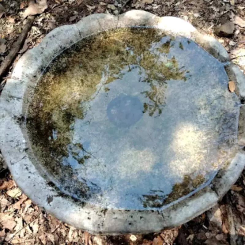 Karnala Bird Sanctuary Builds Artificial Lakes to Combat Heat Wave