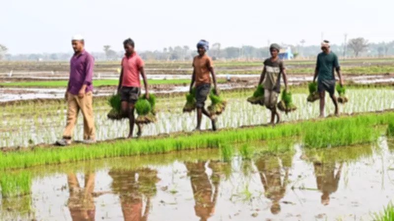 Karnataka Budget 2026 Unveils Major Agricultural Push with AI and Sustainability