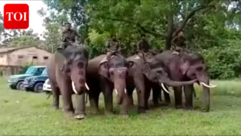 Karnataka Elephants Become Security Pillars at Bihar's Valmiki Tiger Reserve
