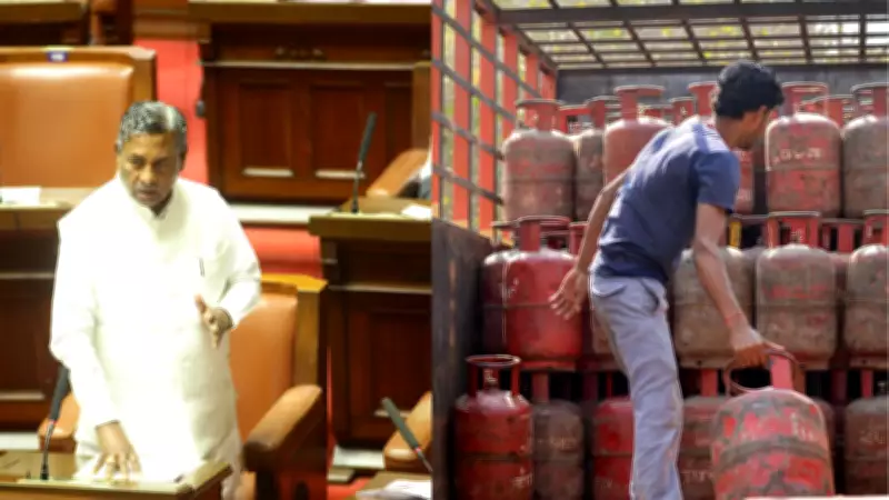 Karnataka Hotels Told to Use Electric Stoves as LPG Shortage Persists for 7-10 Days