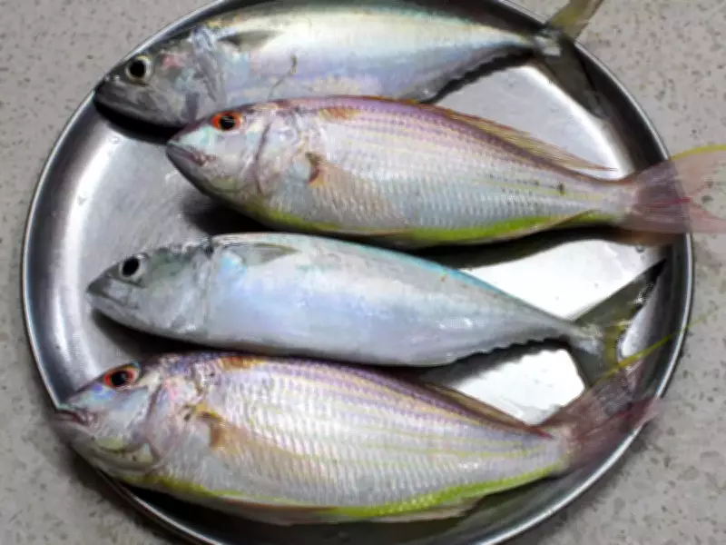 Karnataka Stocks 4.5 Crore Fish Fry in Reservoirs to Boost Aquaculture
