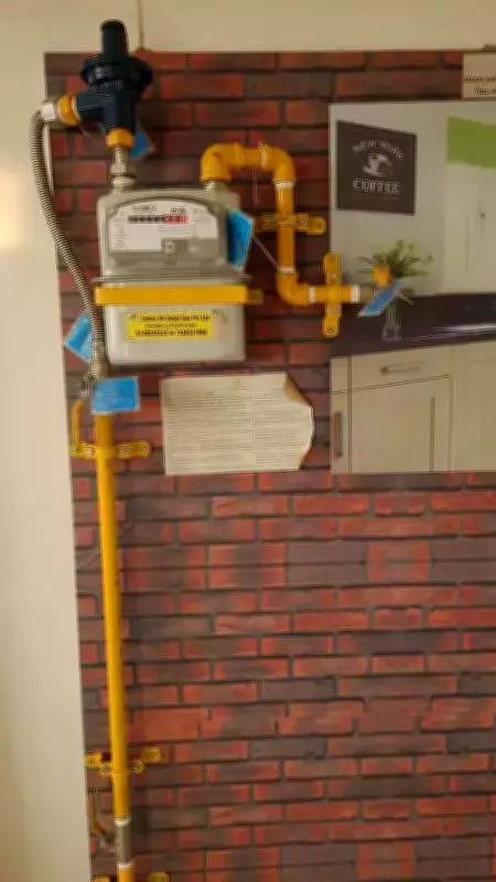 Karnataka Streamlines Gas Supply: LPG Cylinder Withdrawal for PNG Users Begins