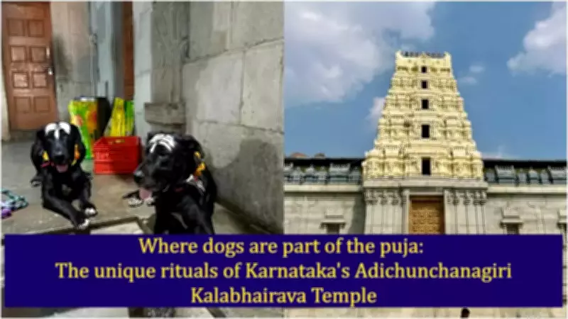 Karnataka's Adi Chunchanagiri Temple: Where Dogs Are Sacred Guardians of Lord Kalabhairava