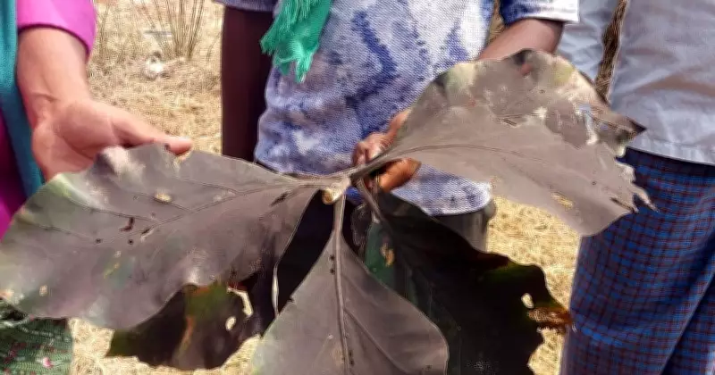 Karnataka's Koppal Village Suffers Severe Air Pollution Crisis