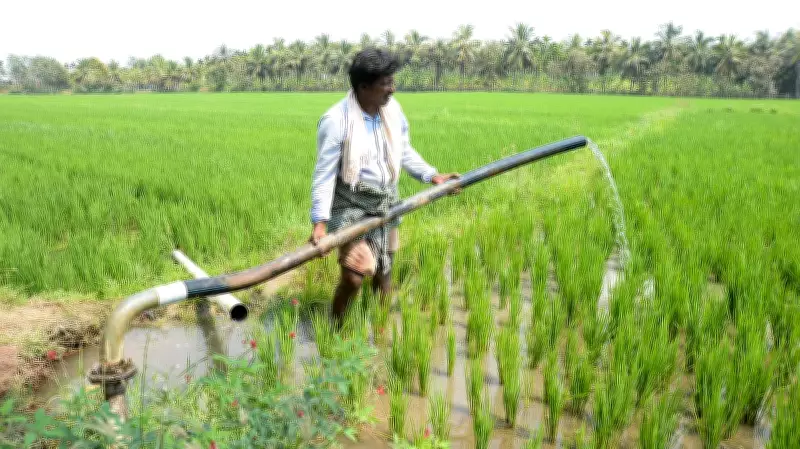 Karnataka's Water Crisis: 45 Taluks Overexploited, Planning Panel Urges Action