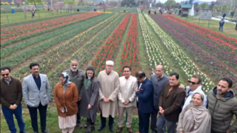 Kashmir's Spring Blooms: Asia's Largest Tulip Garden Opens in Srinagar
