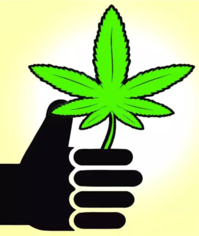 Kerala Police Seize 4kg Cannabis at Ernakulam Railway Station in Election Crackdown