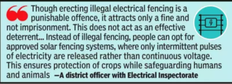 Kerala's Illegal Electric Fencing Crisis: Father-Son Duo Electrocuted in Thiruvananthapuram