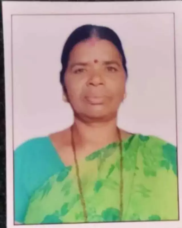 Kodagu Grama Panchayat Member Killed in Wild Elephant Attack, Third Fatality in a Month