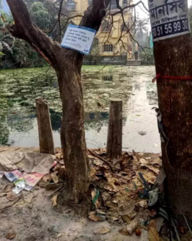 Kolkata Activists Protest Tree Damage During Road Repairs in Dum Dum Area
