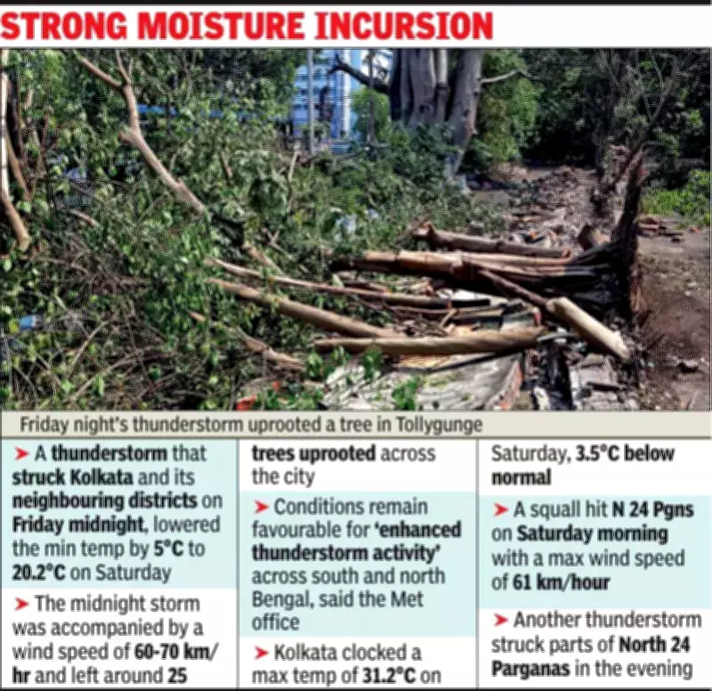 Kolkata Sees Temperature Drop After Midnight Thunderstorm, More Storms Forecast