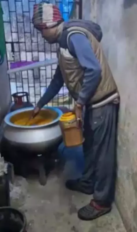 Kolkata Stray Feeders Adapt Amid LPG Crisis, Turn to Induction and Dry Food