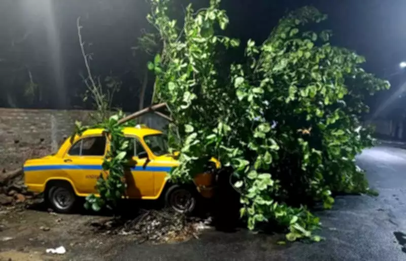 Kolkata's Concrete Crisis: Nor'westers Uproot 40+ Trees, Exposing Urban Planning Failures