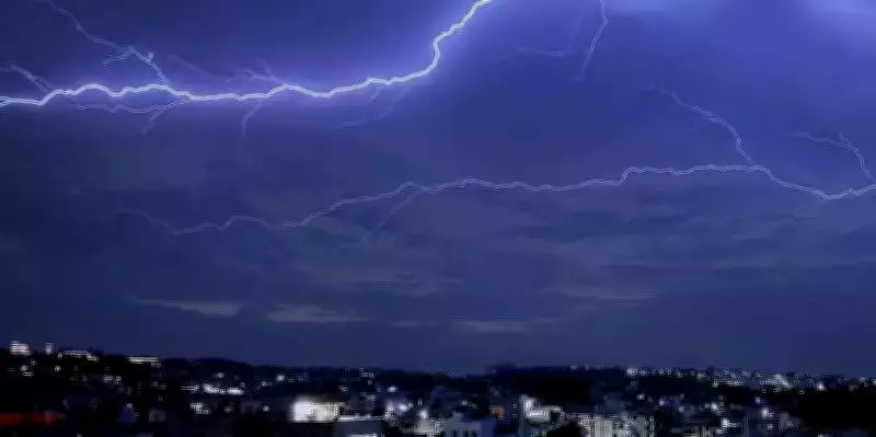 Lightning Strike in Haryana Kills 28 Goats, Critically Injures Herder