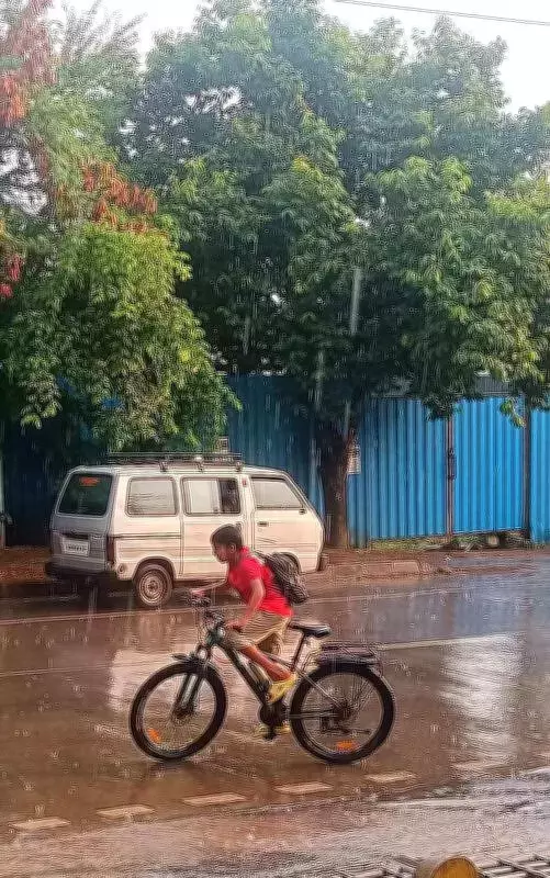 Lightning Strike Kills Eight Sheep in Satara, Heavy Rain Disrupts Kolhapur
