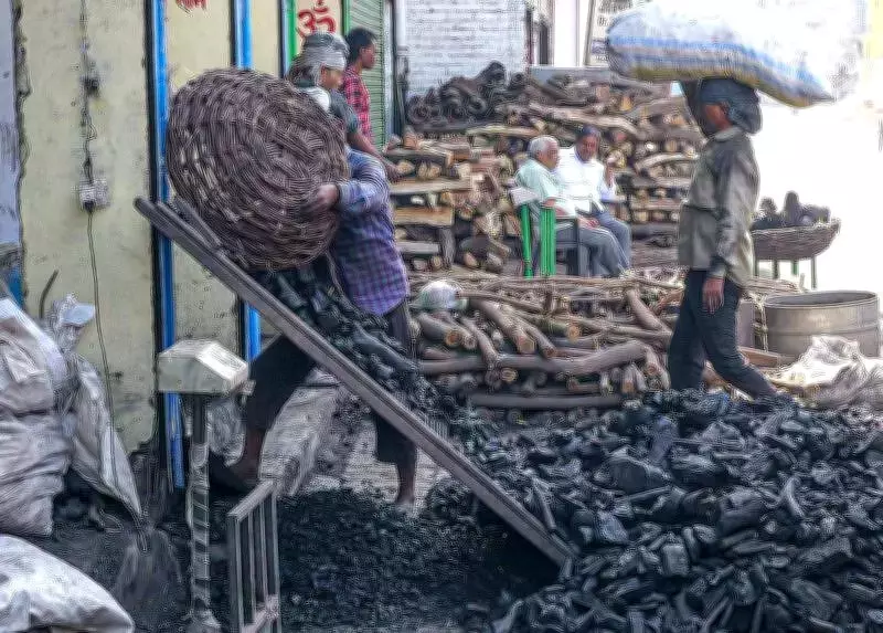 Lucknow LPG Crisis: Digital Booking Systems Fail, Residents Queue for Hours