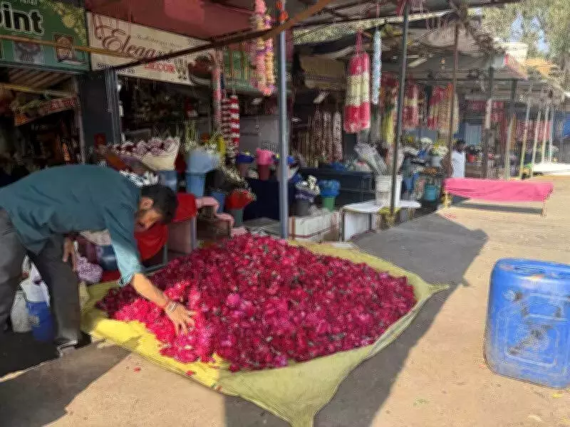 Ludhiana Embraces Eco-Friendly Flower Holi, But Waste Management Remains a Challenge