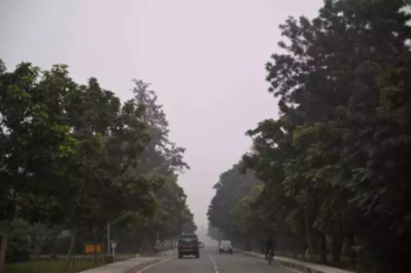 Ludhiana Horticulture Proposes Key Additions to Punjab's Tree Protection Bill 2025