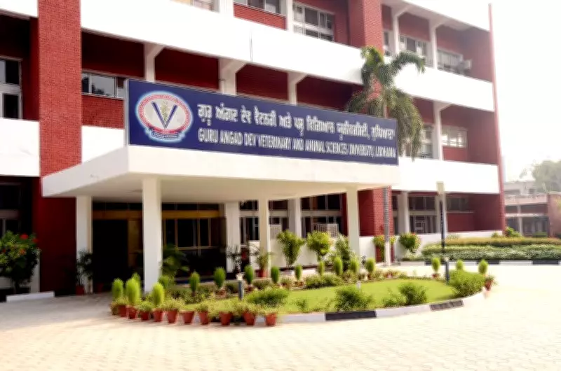 Ludhiana's Guru Angad Dev Veterinary University Hosts Indo-Korean Training Workshop