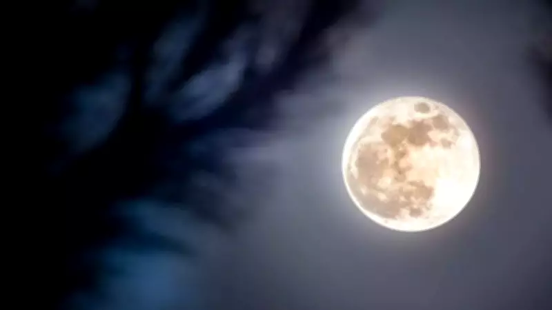 Lunar Eclipse 2024: Vedic Astrology Reveals Karmic Impact on Health & Zodiac Signs