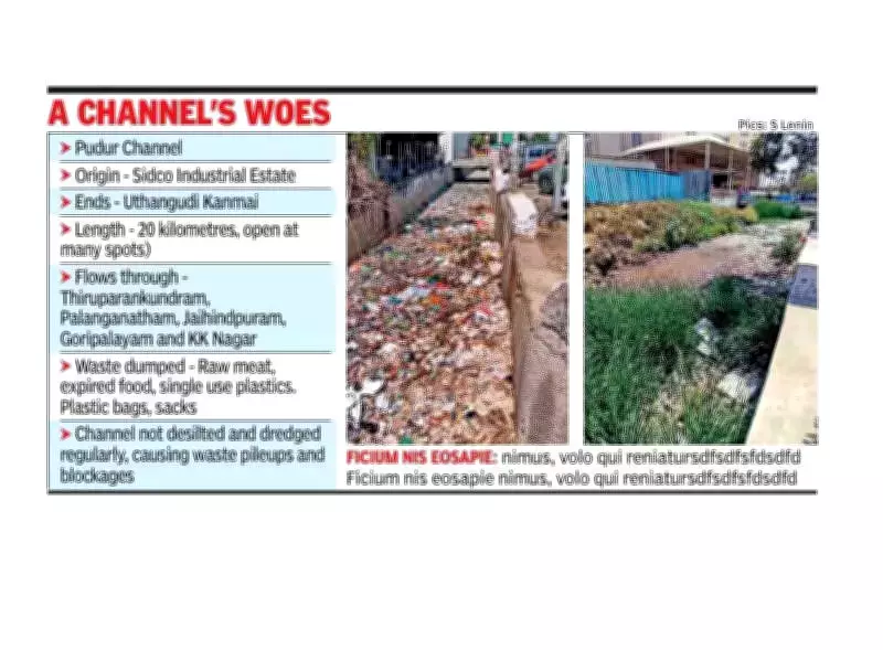 Madurai's Pudur Channel Choked by Waste, Health Hazards Loom Despite Cleanup Efforts
