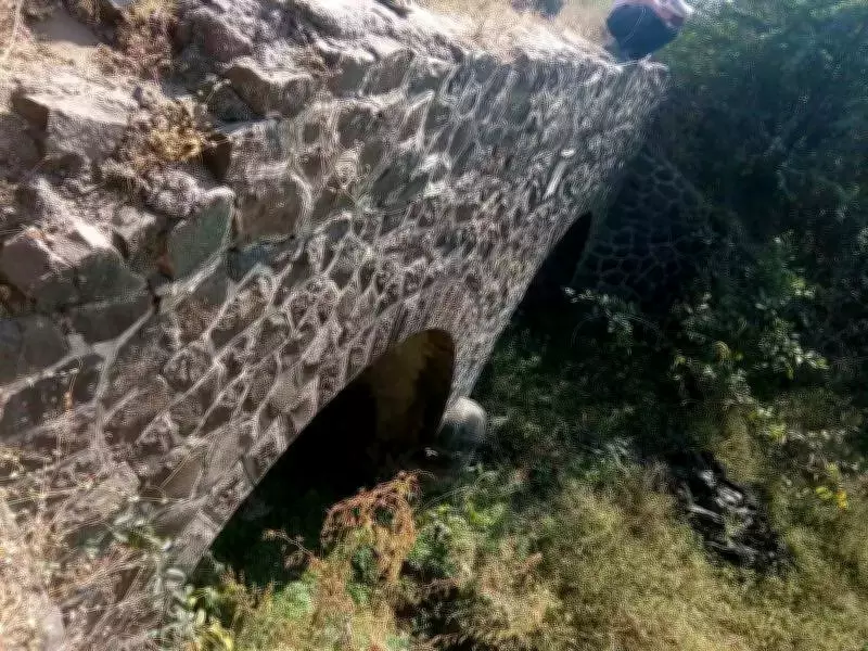 Maharashtra Approves ₹47 Crore Kukadi Canal Renovation After 30-Year Wait