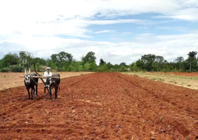 Maharashtra Boosts Free Power for Farmers, Sets Ambitious Solar Energy Targets