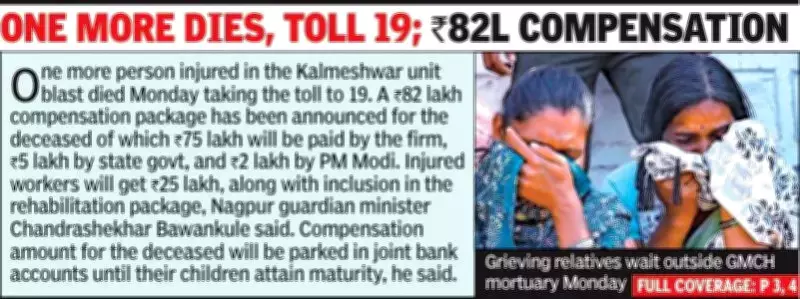 Maharashtra Orders Probe Into 35 Explosives Unit Deaths, May Charge Officials