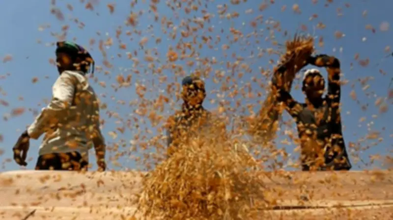 Maharashtra Seeks Export Subsidies as West Asia Crisis Disrupts Agricultural Trade