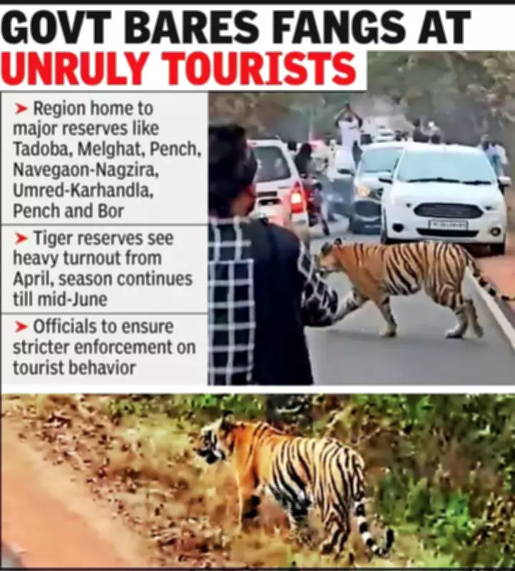 Maharashtra Tiger Reserves to Tighten Visitor Rules After Tadoba Incident