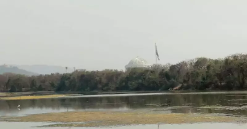 Maharashtra's Flamingo Wetlands Face Toxic Crisis in Navi Mumbai Lakes