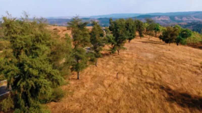 Maharashtra's Forests Decline, River Pollution Rises: Economic Survey Alerts