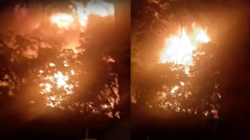 Major Fire at Mira Road Godown Sparks Panic, Damages Nearby Buildings