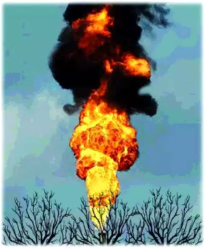 Major Fire in Khandwa Tribal Village Destroys Six Houses, Kills 20 Goats