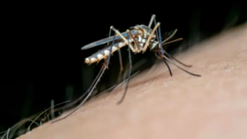 Malaria Parasites Use Rocket Fuel-Like Engines for Survival and Movement