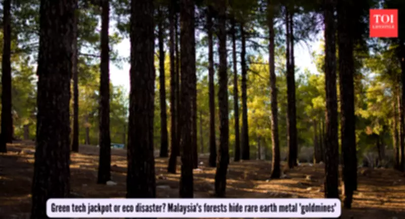 Malaysia's Forest Treasures: Rare Earth Discovery Sparks Green Tech vs. Conservation Debate