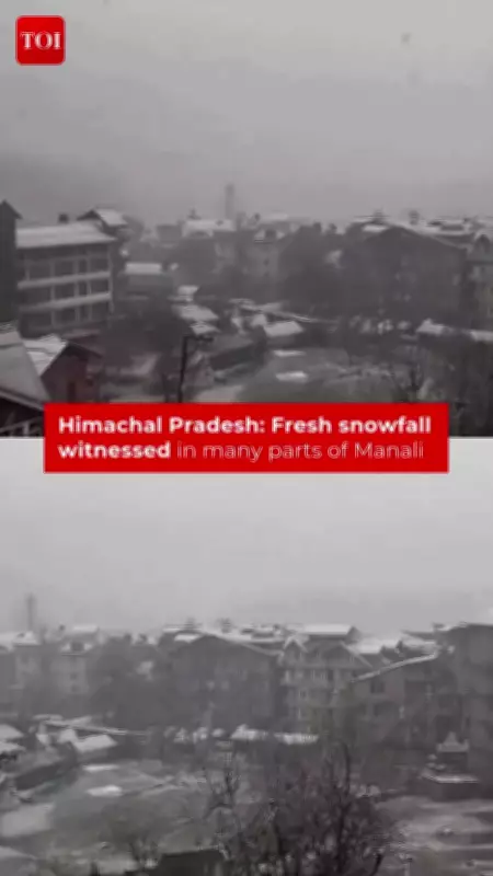 Manali Blanketed in Fresh Snow, Attracts Tourists to the Hills