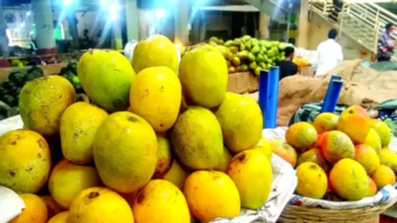 Mancurad Mango Prices Drop to Rs 3,000 per Dozen in Goa, Yet Remain High for Buyers