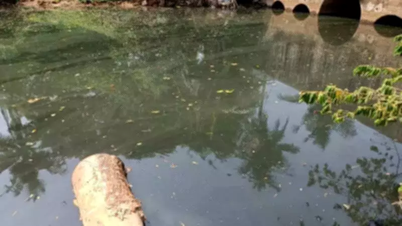 Mangaluru Activists Launch 'Save Phalguni River' Campaign, Plan Major Protest