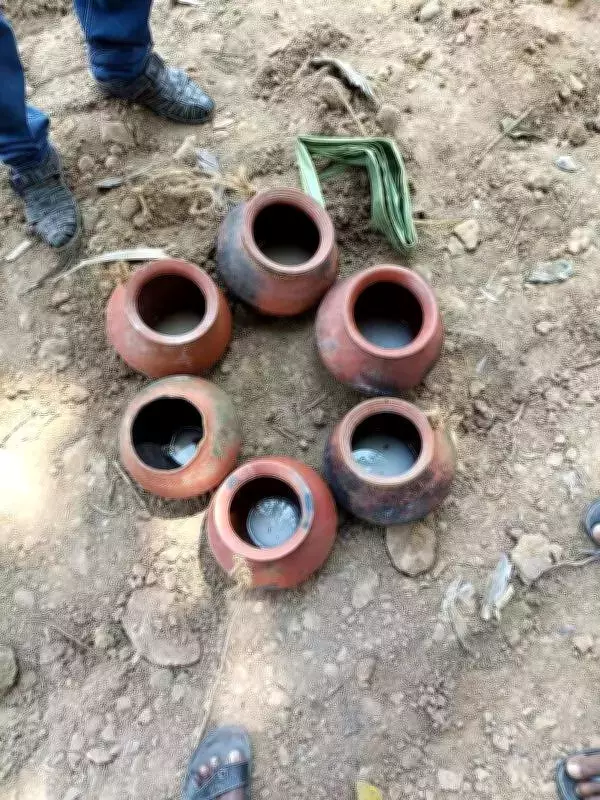 Mass Poisoning in Tamil Nadu: 40 Fall Ill After Consuming Contaminated Toddy