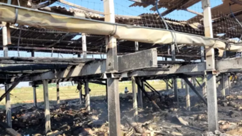 Massive Fire in Karnataka's Sindhanur Kills 700 Sheep and Lambs