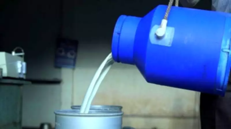 Milk Adulteration Tragedy in Andhra Pradesh Claims 14 Lives, Many Hospitalized