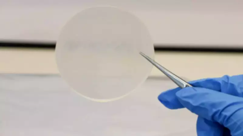 Milk-Based Bioplastic Decomposes in 13 Weeks, Offers Eco-Friendly Solution