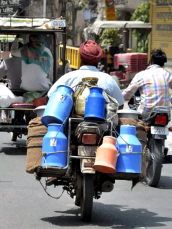Milk Prices in Jalandhar to Increase by Rs 5 per Litre from April 1