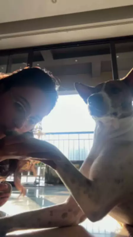 Mimi Chakraborty Shares Heartwarming Moment with Her Beloved Fur Babies