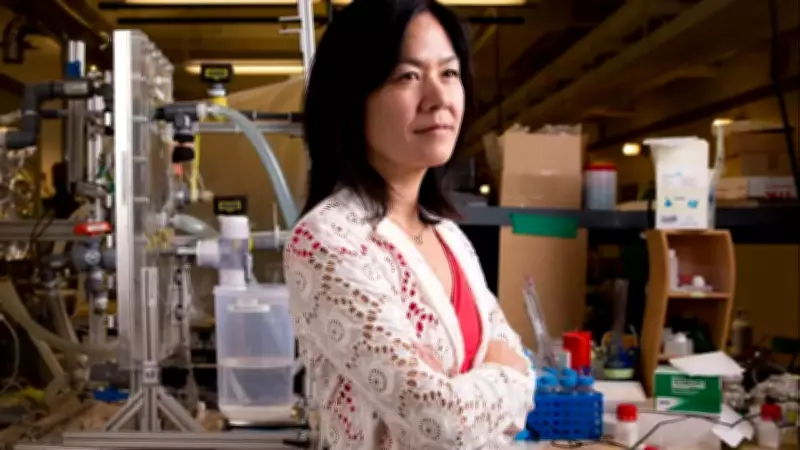 MIT's Evelyn Wang Pioneers Air-to-Water Tech for Global Scarcity
