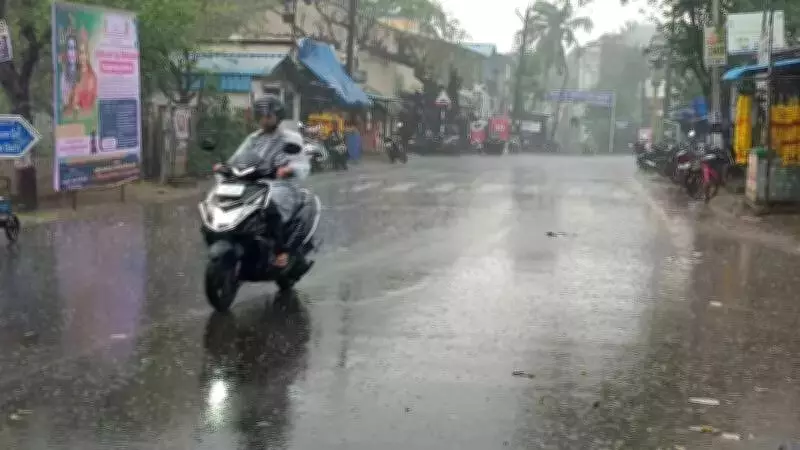 Moderate Rainfall Boosts Delta Crops, Eases Irrigation Pressure in Trichy