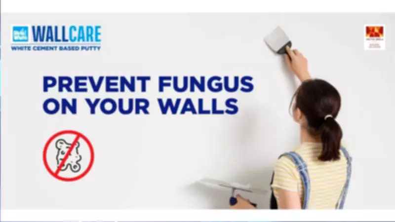 Monsoon Wall Woes: Effective Solutions to Prevent Algae and Fungus Growth